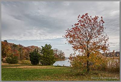 image by Kirms Photography Shark River Hills Foliage-5